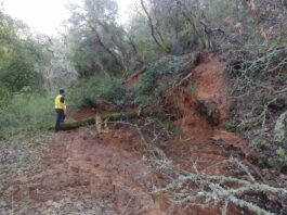 Fires, floods top news of 2019