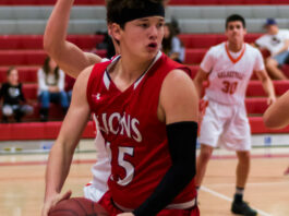 Lions cagers looking to climb ladder in NBL Redwood Division
