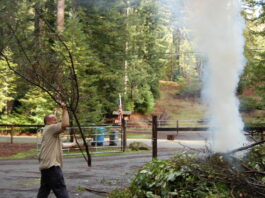 Community developing wildfire protection plan