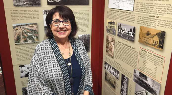 New director at the West County Museum