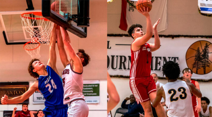 Flying Tigers and Lions ready for league hoops campaign