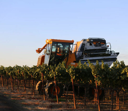 Winegrowers hold first meeting of the decade