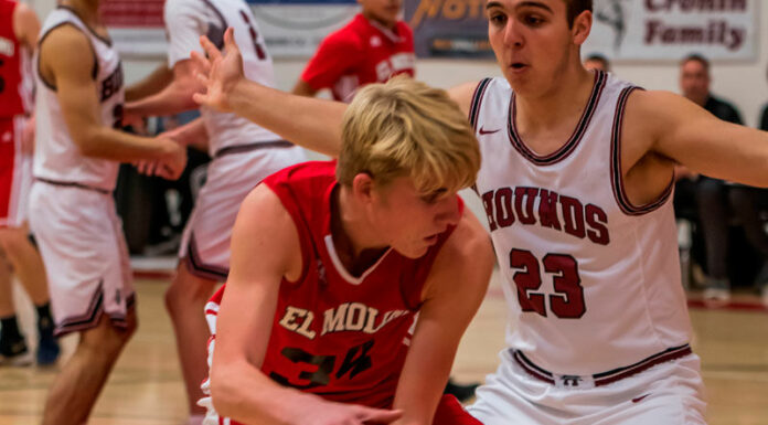 Flying Tigers, Lions fall in NBL hoops