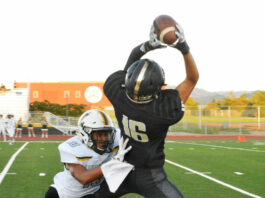 2019, a year to remember in local sports