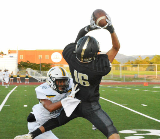 2019, a year to remember in local sports