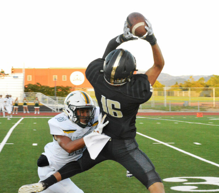 2019, a year to remember in local sports