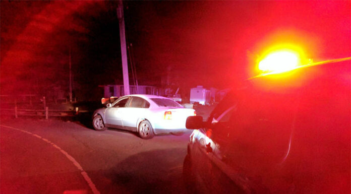 WPD Logs Feb. 3 to Feb. 9, 2020