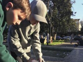 Students create biodegradable art
