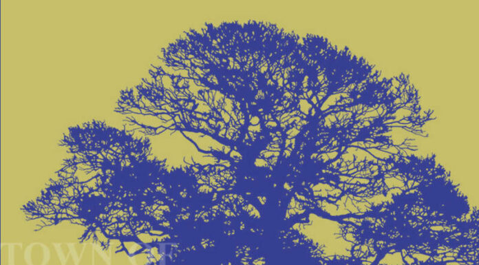 Windsor using technology to help keep meetings public and safe