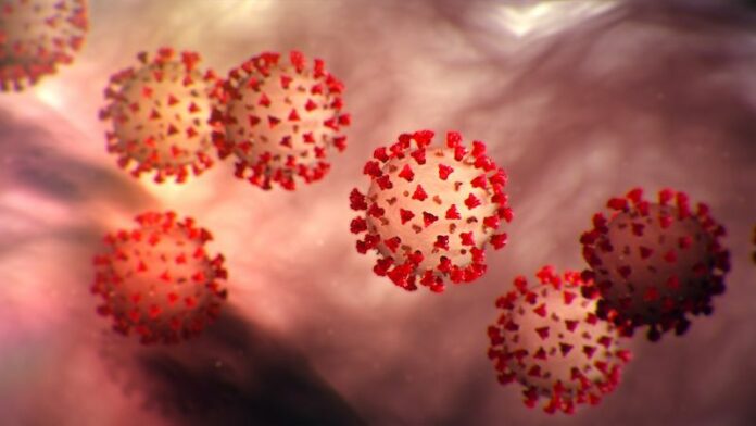 coronavirus