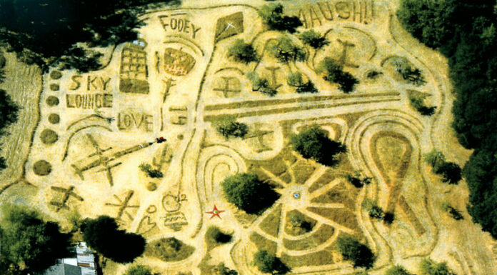 The crop circles of Furlong Road