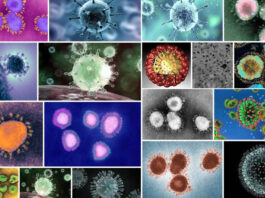 COVID-19, the coronavirus, comes to Sonoma County