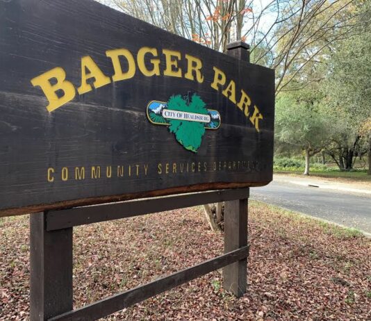 Commentary: Resurrection of the Badger Park garden