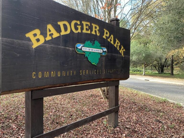 Commentary: Resurrection of the Badger Park garden