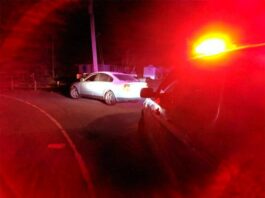 WPD Logs March 23 – March 29, 2020