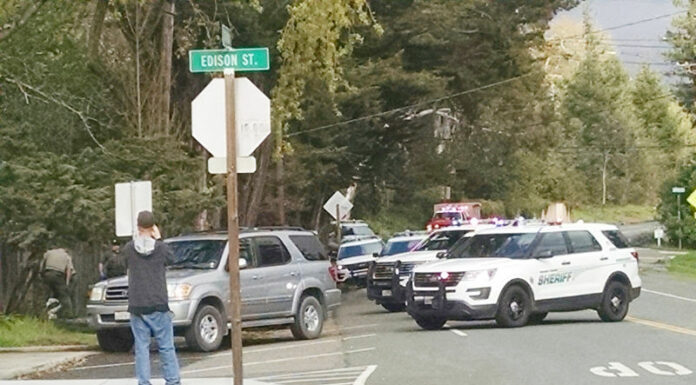 Police tangle with felon in downtown Graton