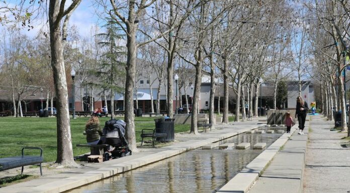 Public life goes dark