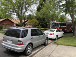 Birthday celebration during shelter in place