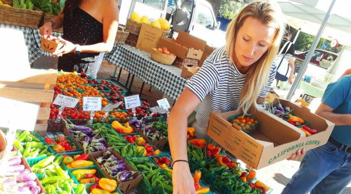 Market season gets an early start