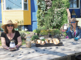 Seed bank gives out 1,800 packs of free seed to local gardeners