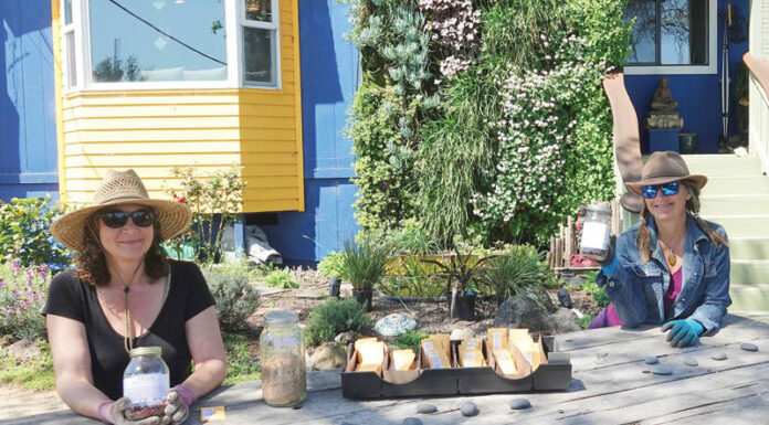 Seed bank gives out 1,800 packs of free seed to local gardeners