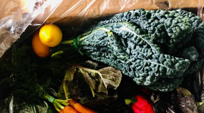 Bin program aims to F.E.E.D. county