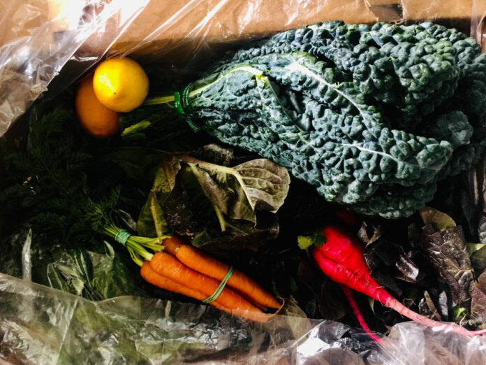 F.E.E.D. bin, produce, vegetables