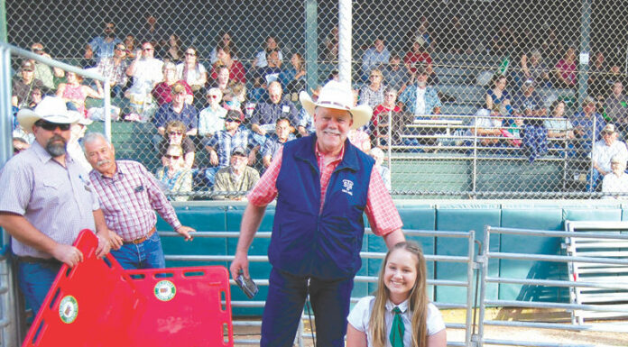 Healdsburg’s youth livestock auction going virtual