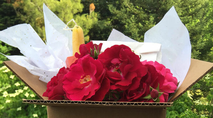 Sebastobox delivers locals ‘favorite things’