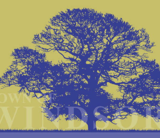 Council calls for redo on Jaguar Way project