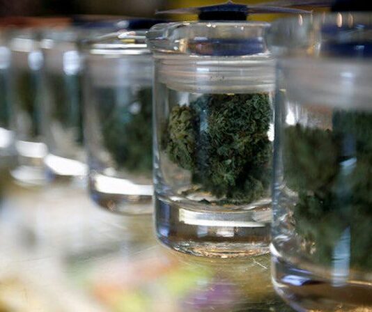 COVID may slow down permitting process for cannabis business hopefuls