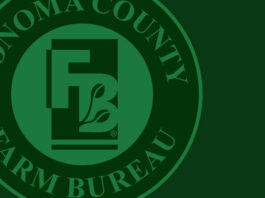 Windsor students bring home prizes from Ag Days contest