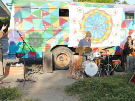 Psychedelic moments in the middle of a pandemic