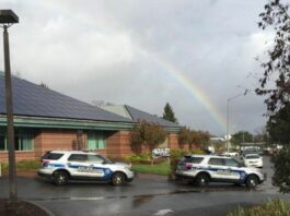 Sebastopol taps interim police chief