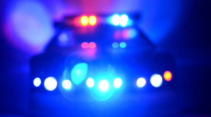 Pedestrian succumbs to injuries in Bohemian Highway crash