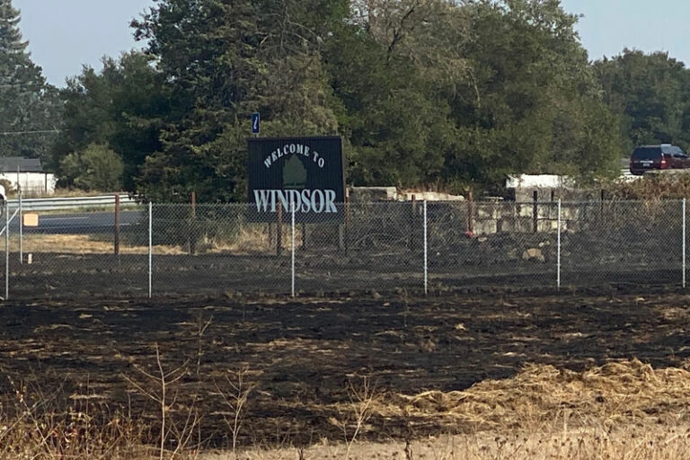 Photo gallery: Small grass fire erupts in north Windsor