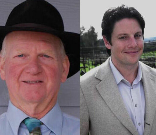 Q&A with Windsor mayoral candidates, part two