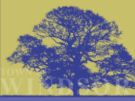 Town council receiving update on policing, use-of-force discussion