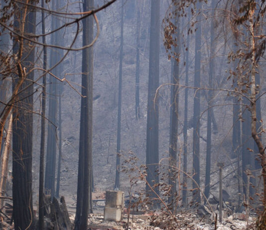 Commentary: COPEing with the Walbridge Fire