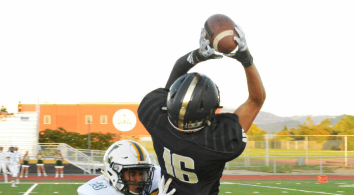 Jaguars to stream sports online on NFHS network