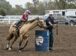 Sebastopol Wranglers hitting stride amid pandemic