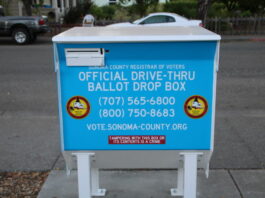 Buttoning up mail-in and in-person voting