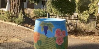 Decorated barrels to stay in Geyserville through Thanksgiving