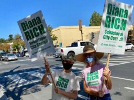 Challenger Diana Rich tops Sebastopol council race