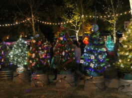 COVID requiring changes to Windsor holiday festivities