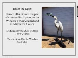 No decision yet on filling vacant council seat