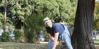 Cleaning up Kleiser Park