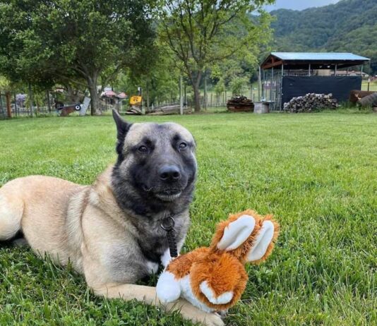 Year in Review: People and animals of note