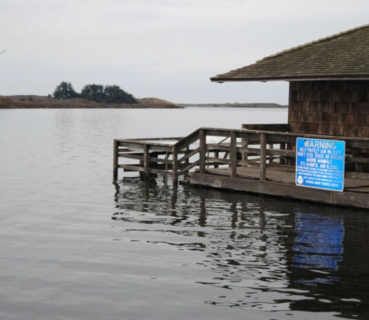 River’s mouth forced open by Sonoma Water crews