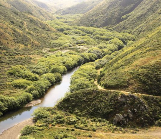 County regional parks adds new coastal land